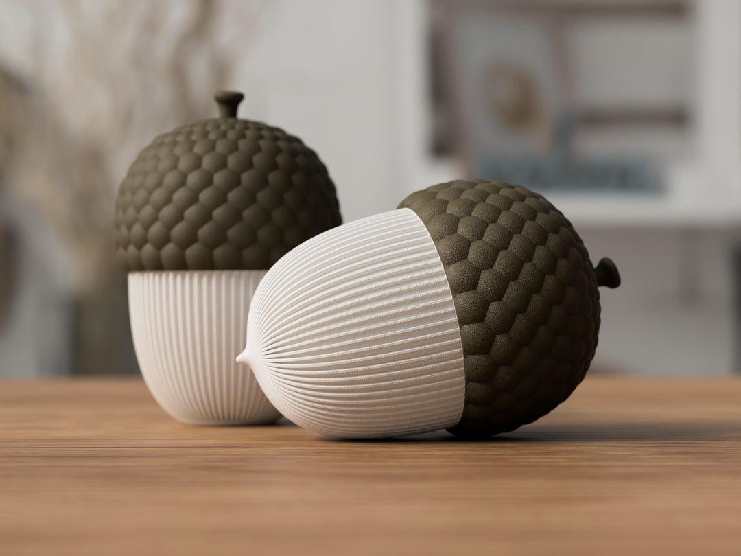 Eichel Aufbewahrungsdose