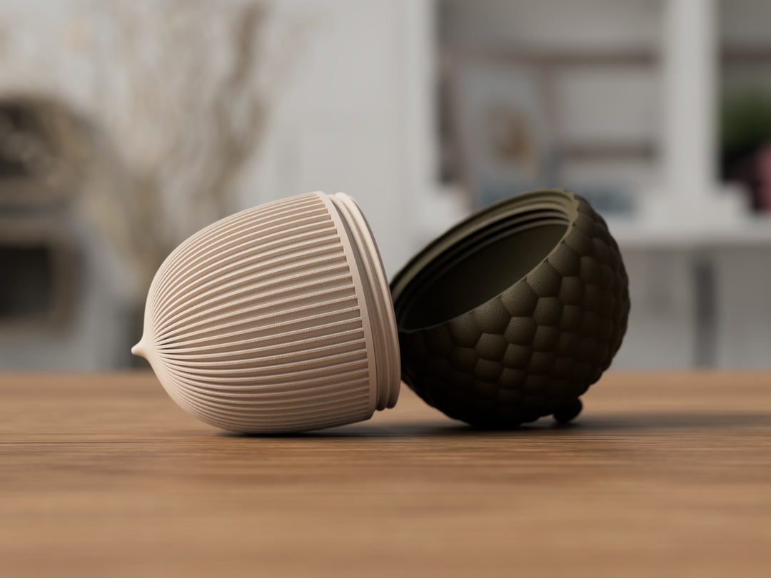 Eichel Aufbewahrungsdose