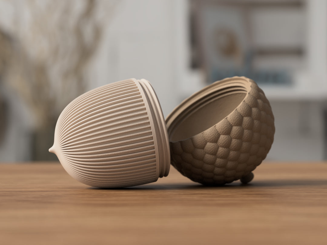 Eichel Aufbewahrungsdose